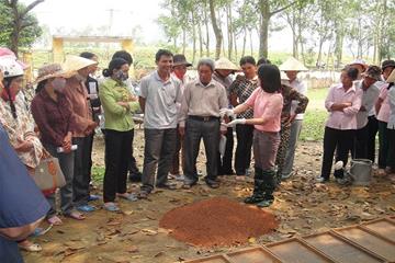 Tập huấn chuyển giao Kỹ thuật sản xuất mạ khay tại xã Thiệu Giang, huyện Thiệu Hóa